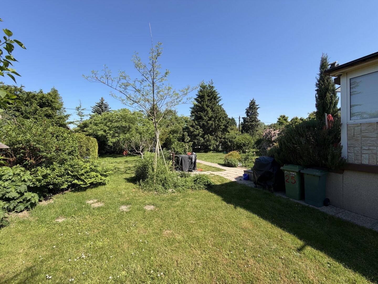 Sonniger Gartenbereich mit Rasen, verschiedenen Sträuchern und Bäumen neben der Hausfassade.