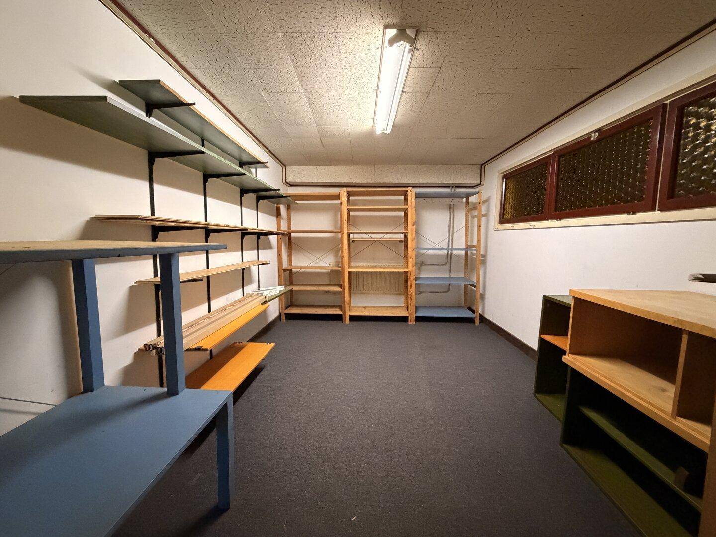 Geräumiger Abstellraum im Keller mit Teppichboden und Regalen für Lagerzwecke.