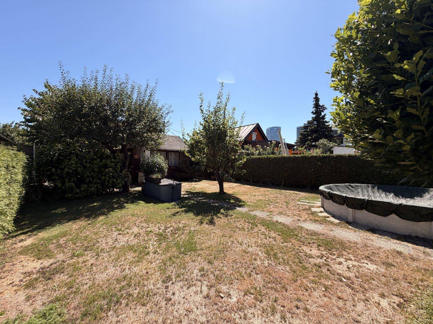 Sonniger Garten mit Rasenfläche, Bäumen, dichten Hecken und einem abgedeckten Aufstellpool, umgeben von Natur.