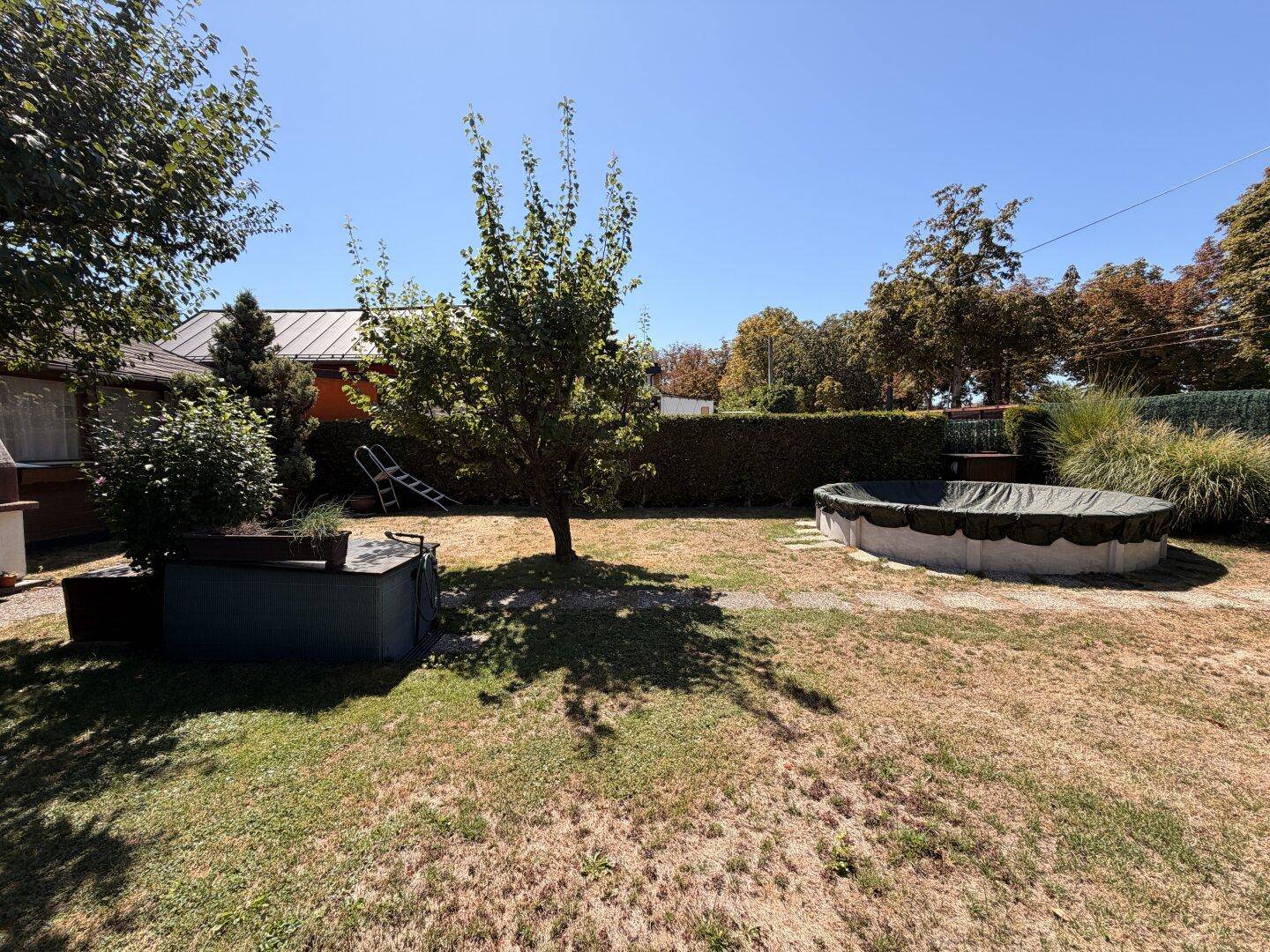 Gartenansicht mit trockenem Rasen, schattenspendenden Bäumen, Hecken und einem abgedeckten Aufstellpool an einem sonnigen Tag.