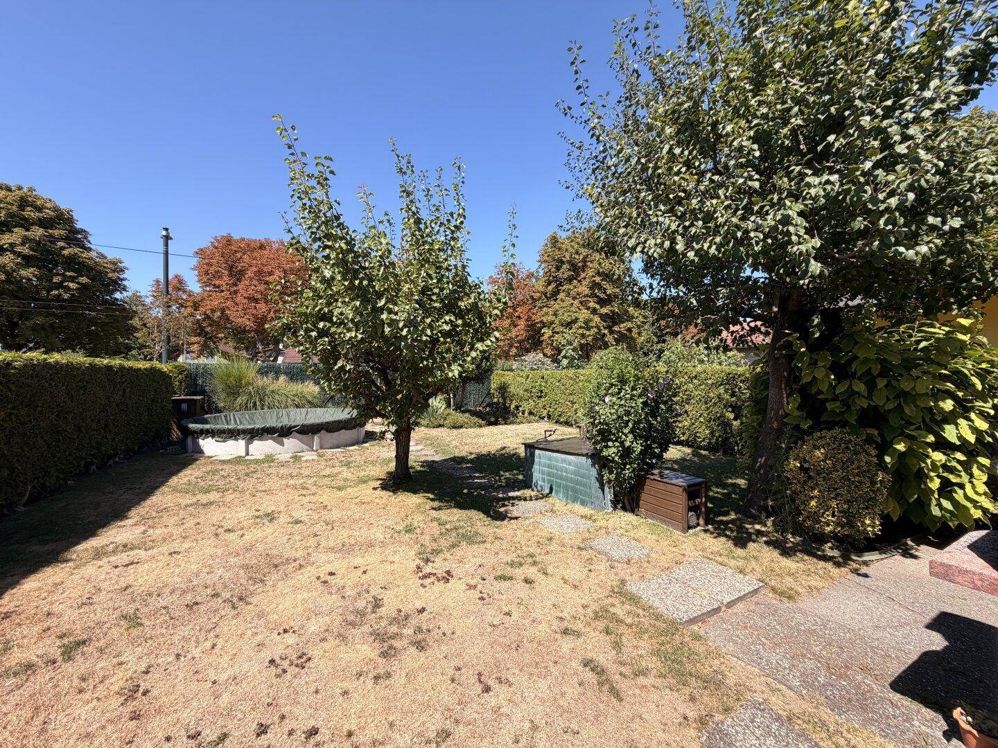 Weitläufiger Garten mit Rasenfläche, Bäumen, dichten Hecken und einem abgedeckten Aufstellpool unter blauem Himmel.