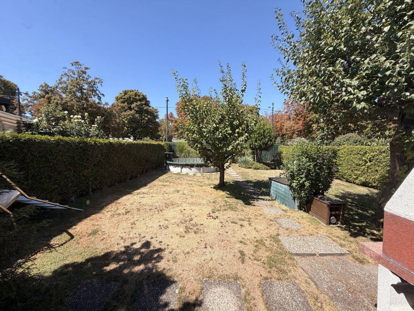 Sonniger Garten mit trockenem Rasen, Bäumen, Hecken und einem abgedeckten Aufstellpool, umgeben von viel Grün.