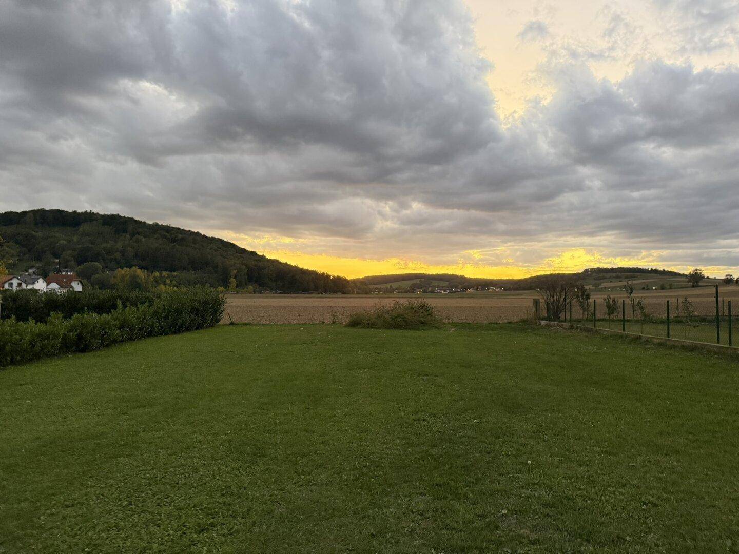 Panoramablick über eine grüne Wiese mit Wald und Feldern im Hintergrund bei Sonnenuntergang.
