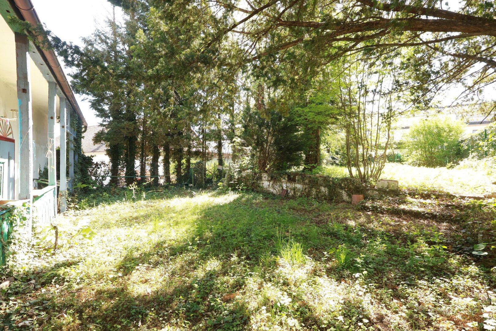 Sonniger Gartenbereich neben dem Haus mit altem Mauerwerk und viel Grünfläche.