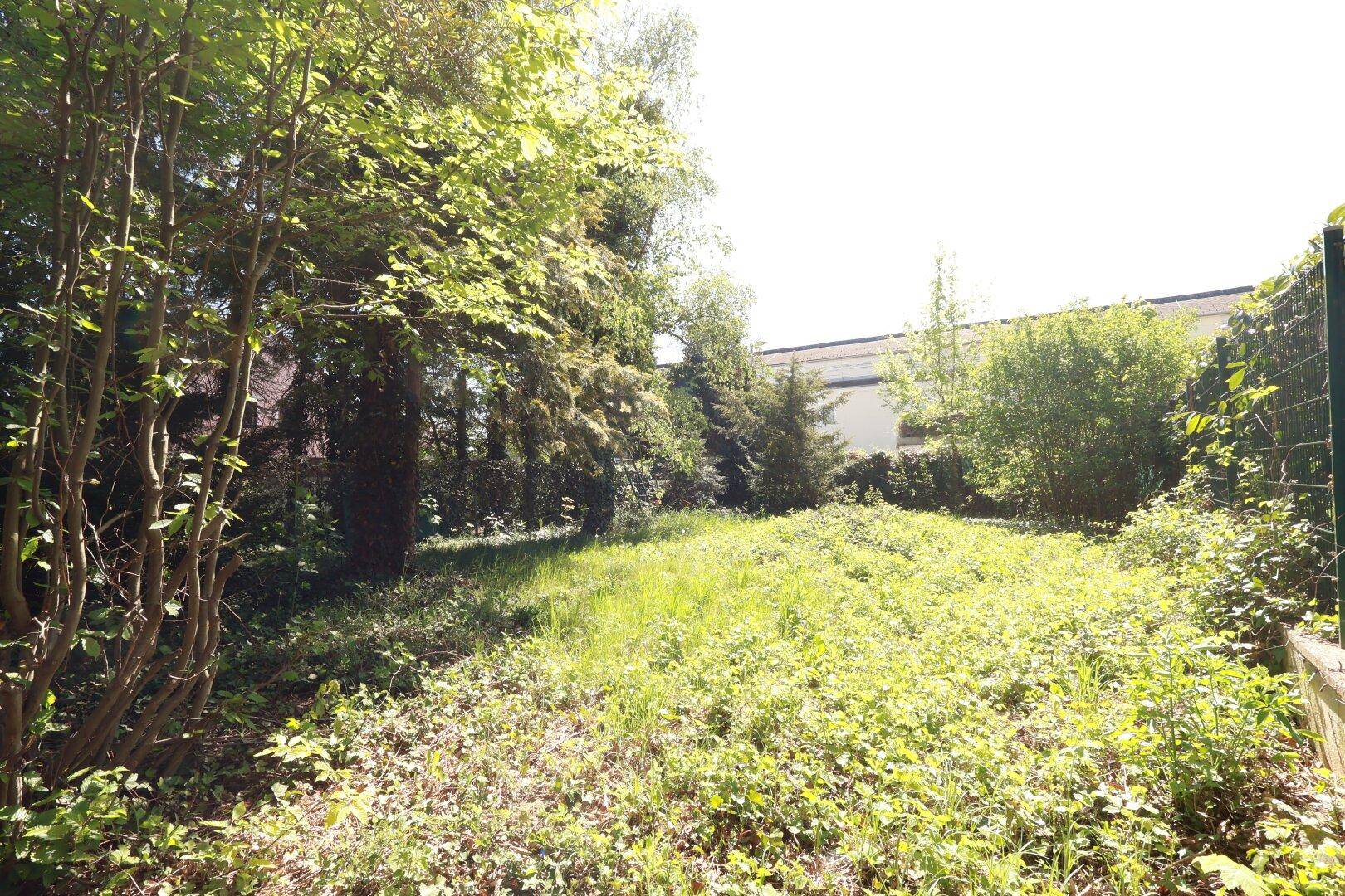 Weitläufiger Gartenbereich mit hohem Gras und verschiedenen Bäumen und Sträuchern.