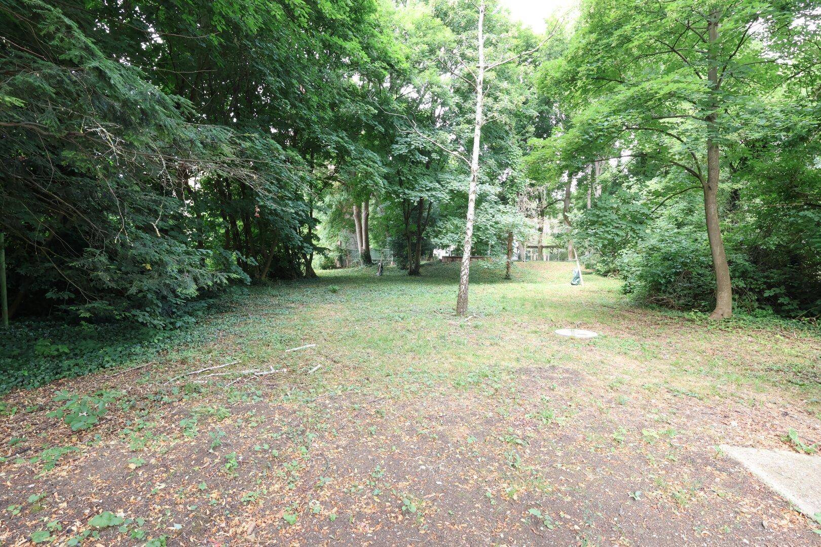 Nächst Kollegium Kalksburg! - Ansicht 6