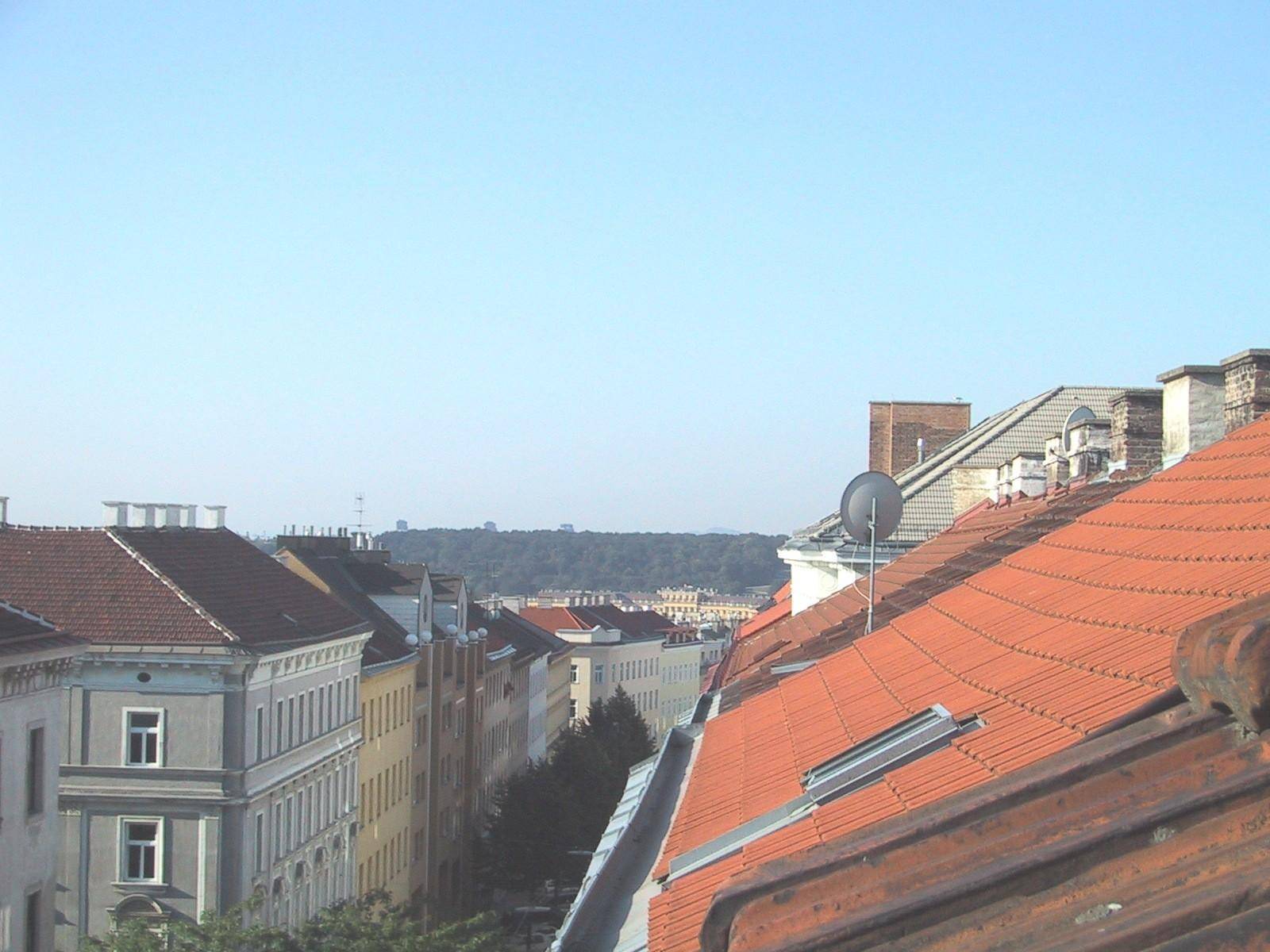 Dachlandschaft einer Stadt mit roten Ziegeldächern und einem grünen Hügel in der Ferne.