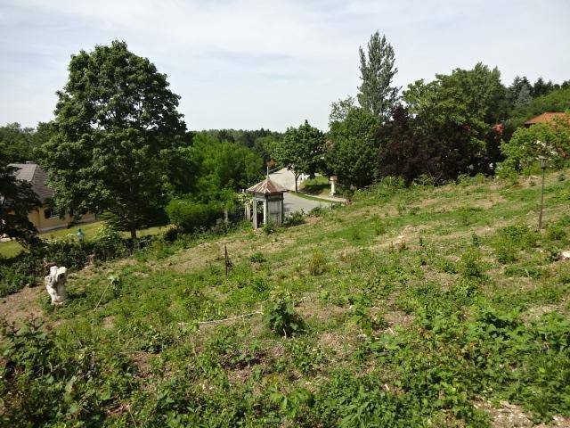 Großes, unbebautes Grundstück mit viel Grün und weitem Blick in die Landschaft.