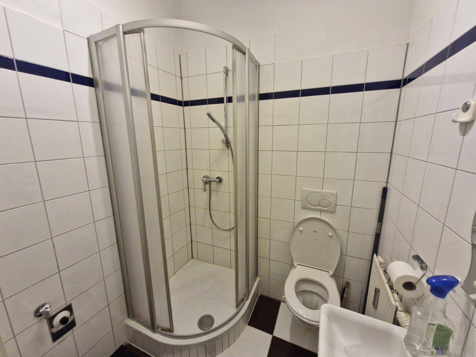 Badezimmer mit Duschkabine, WC und Waschbecken in weiß-blauer Fliesengestaltung.