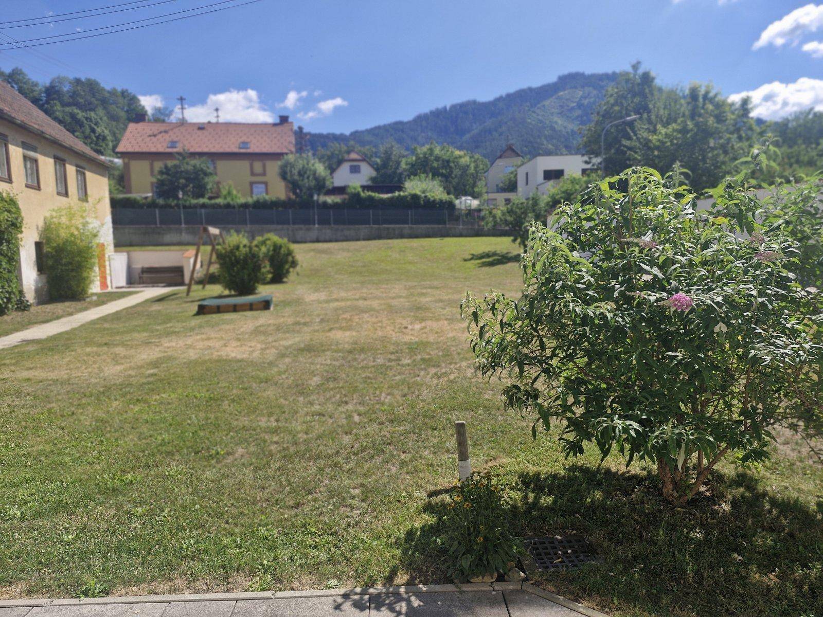 Blick auf den Gartenbereich mit blühendem Strauch im Vordergrund und Gebäuden im Hintergrund.