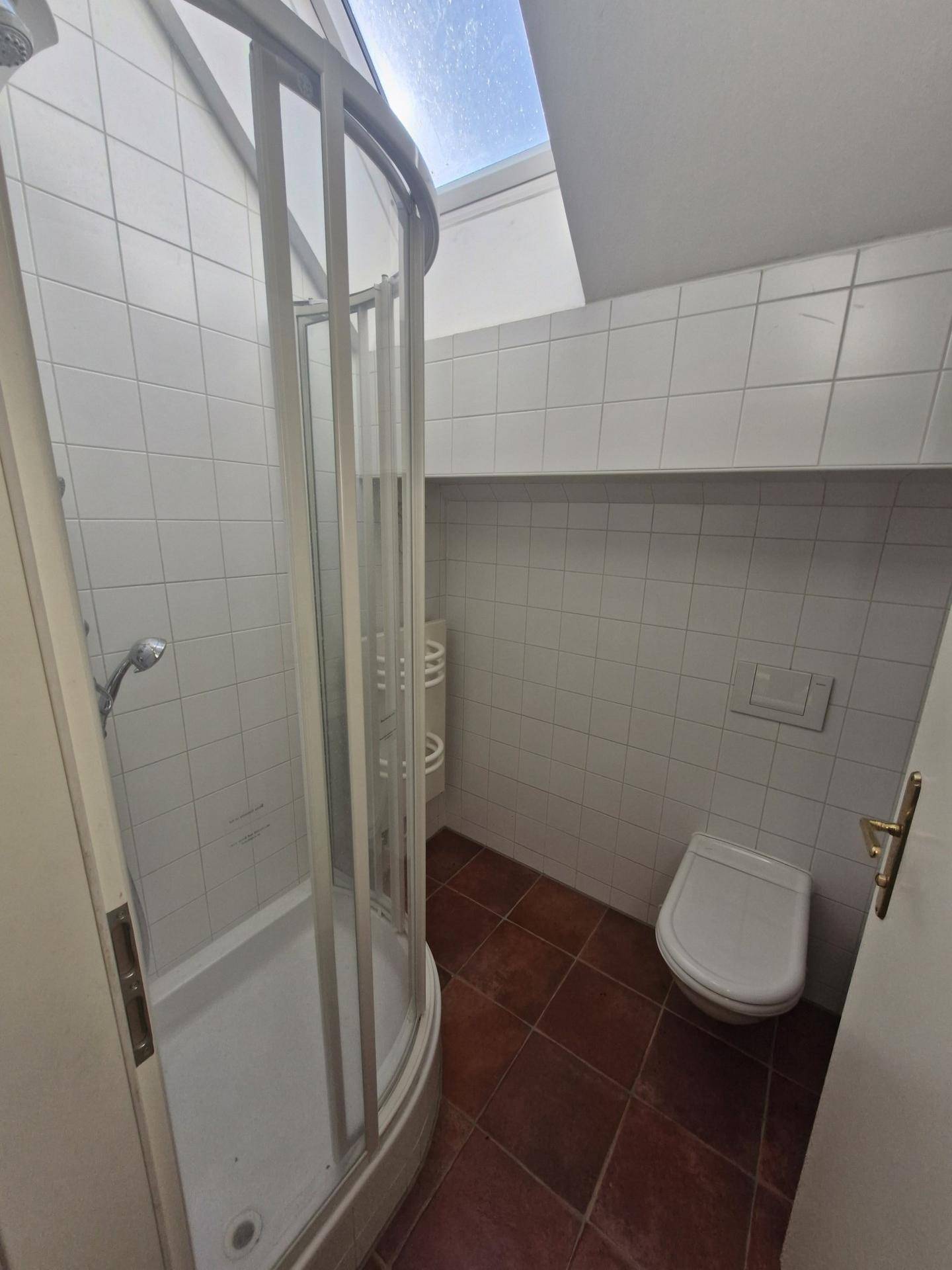 Kleines Badezimmer mit Duschkabine, WC und Fliesen, beleuchtet durch ein Dachfenster.