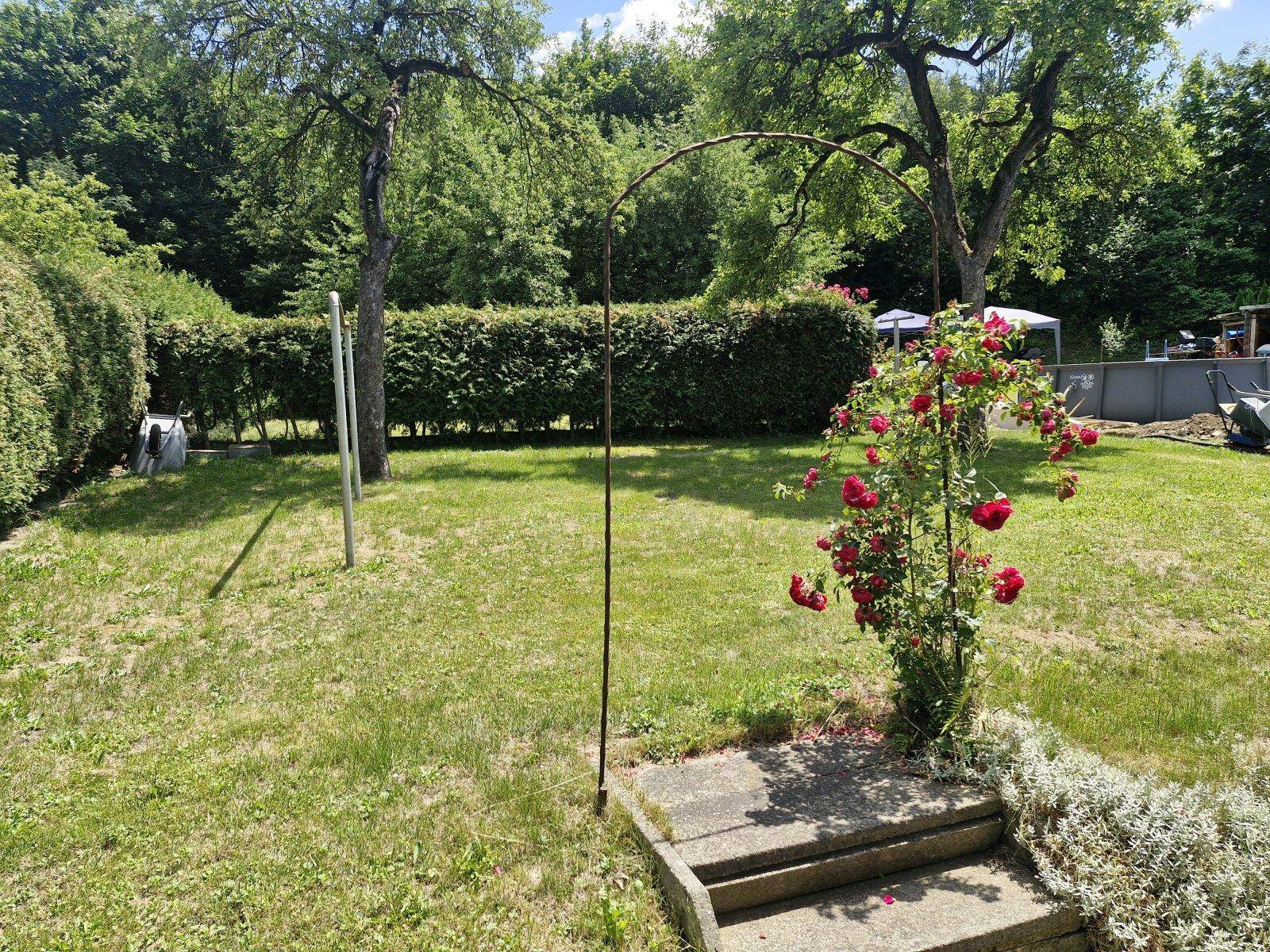 Sonnige Rasenfläche im Garten, umgeben von hohen Hecken und Bäumen, ideal zum Entspannen.