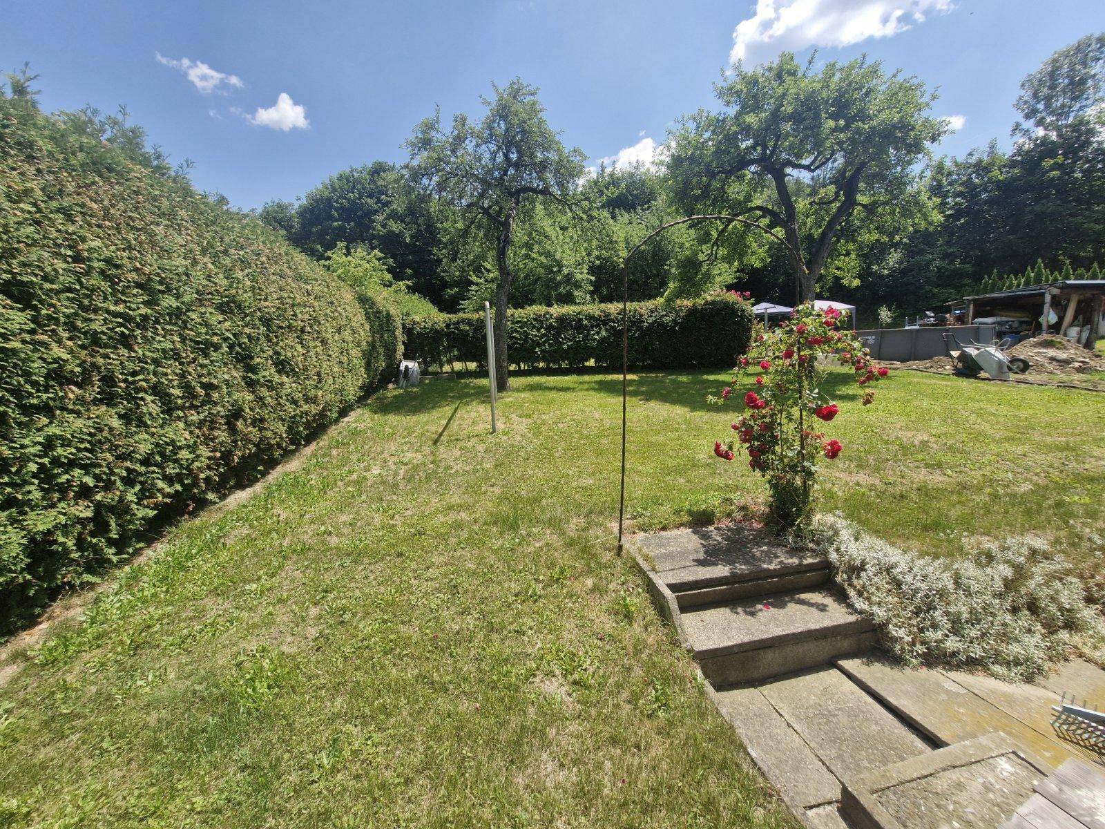 Weitläufiger Garten mit Rasenfläche, hohen Hecken und alten Obstbäumen unter blauem Himmel.