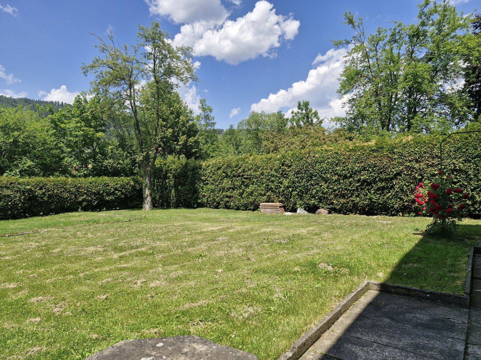 Weitläufige Rasenfläche im Garten, umgeben von hohen Hecken und Bäumen, mit viel Sonne.
