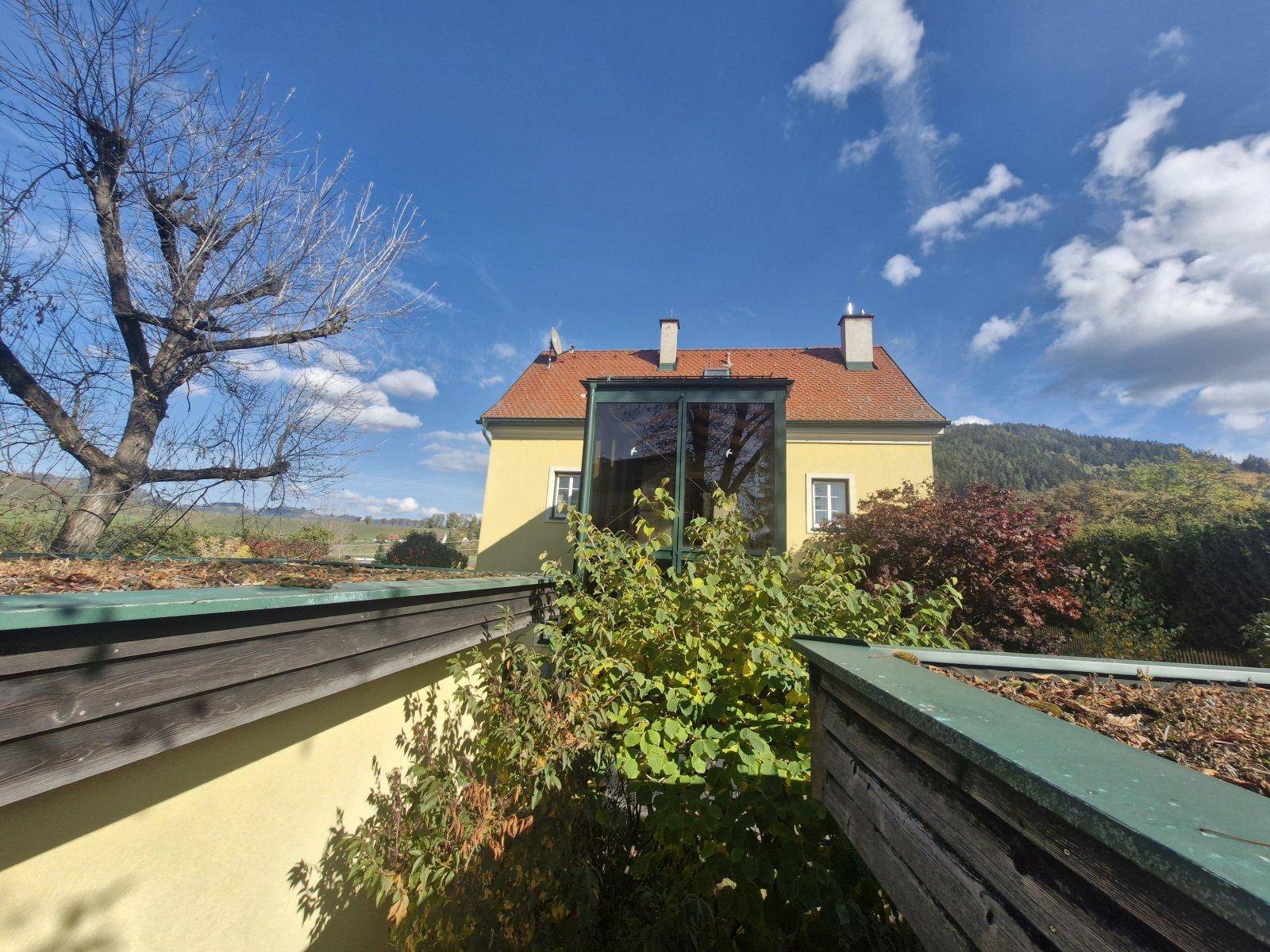 Blick über ein Gründach auf das gelbe Haus mit dem verglasten Anbau und den Bergen im Hintergrund.