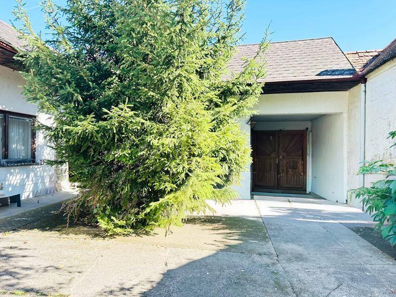 Gepflasterte Zufahrt zu einem Garagentor, umgeben von üppigem Grün.