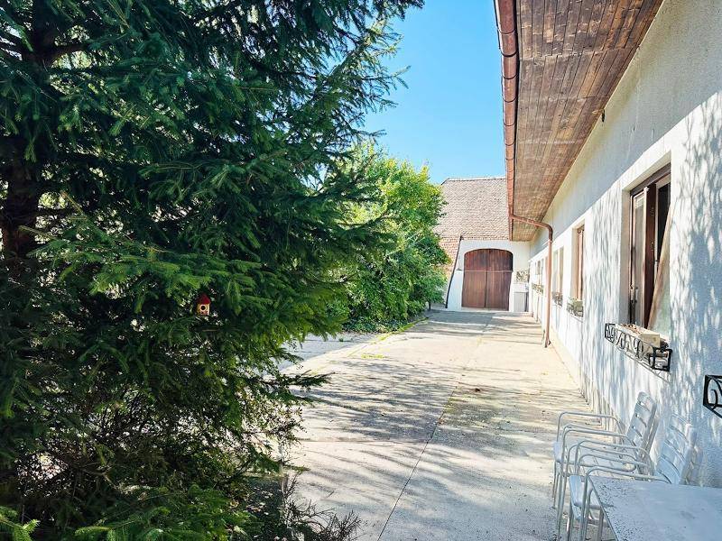 Sonniger Außenbereich mit Nadelbäumen und einem Gebäude mit Holztor im Hintergrund.