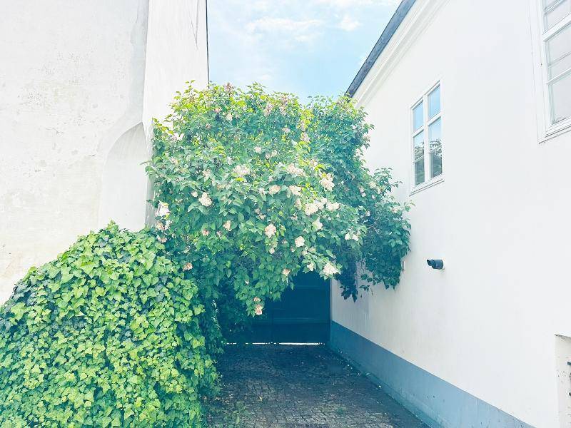 Schmaler Durchgang zwischen Gebäuden mit üppigem Grün und Kopfsteinpflaster.