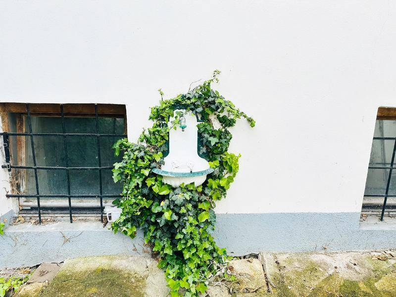 Weiße Gebäudewand mit Efeu bewachsen und einem kleinen dekorativen Wandbrunnen.