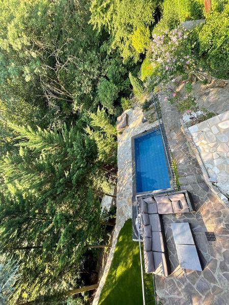 Panoramablick auf den Außenbereich mit Pool, Lounge-Möbeln und üppiger Vegetation.