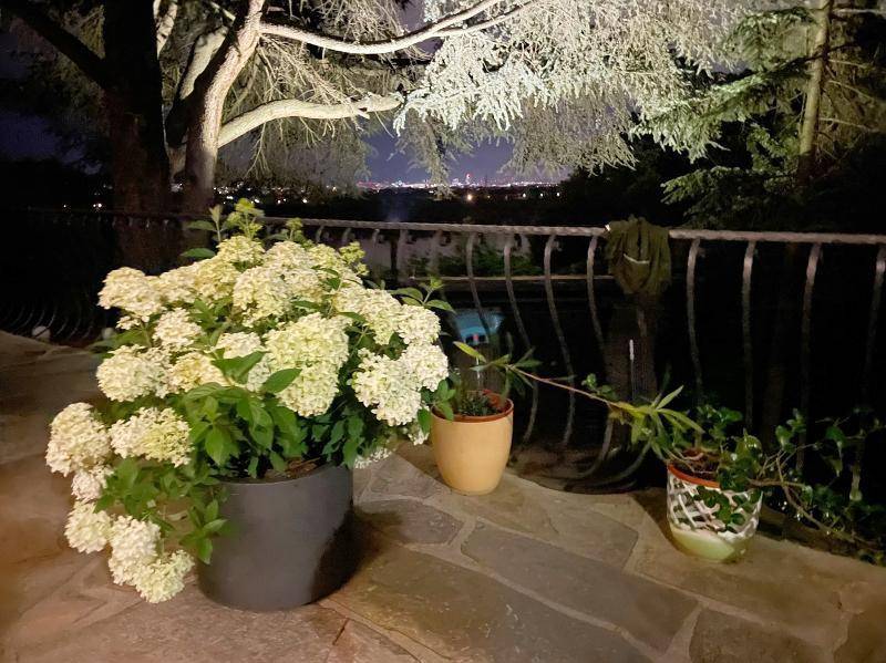 Romantische Terrasse bei Nacht mit blühenden Pflanzen und Blick auf die beleuchtete Stadt.