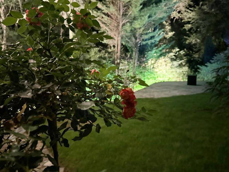 Romantischer Gartenbereich bei Nacht mit blühenden Rosen und sanfter Beleuchtung.
