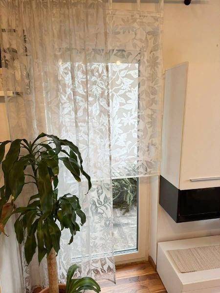 Fenster mit transparenten Vorhängen und einer Zimmerpflanze, die für natürliches Licht sorgt.