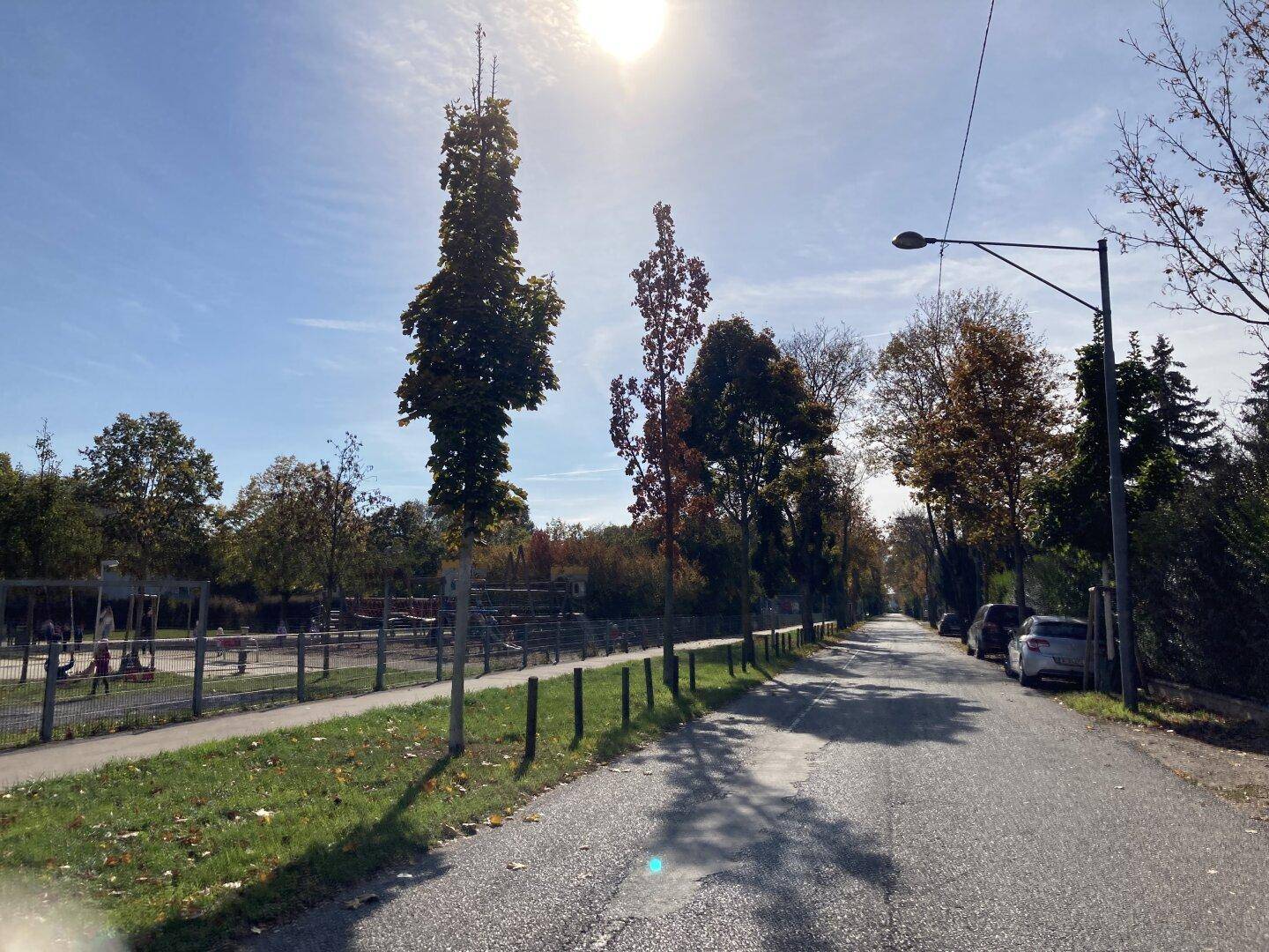 Umgebung