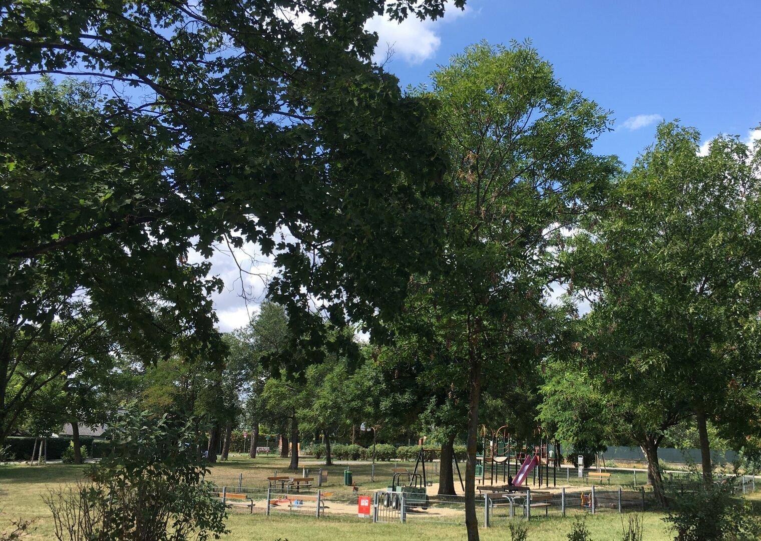 Weitläufiger Park mit altem Baumbestand und einem Spielplatz im Hintergrund, ideal für Familien.