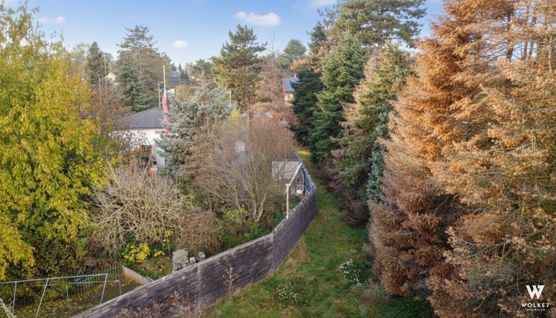 Schmaler, bewachsener Weg zwischen hohen Bäumen und einem Holzzaun, der das Grundstück begrenzt.