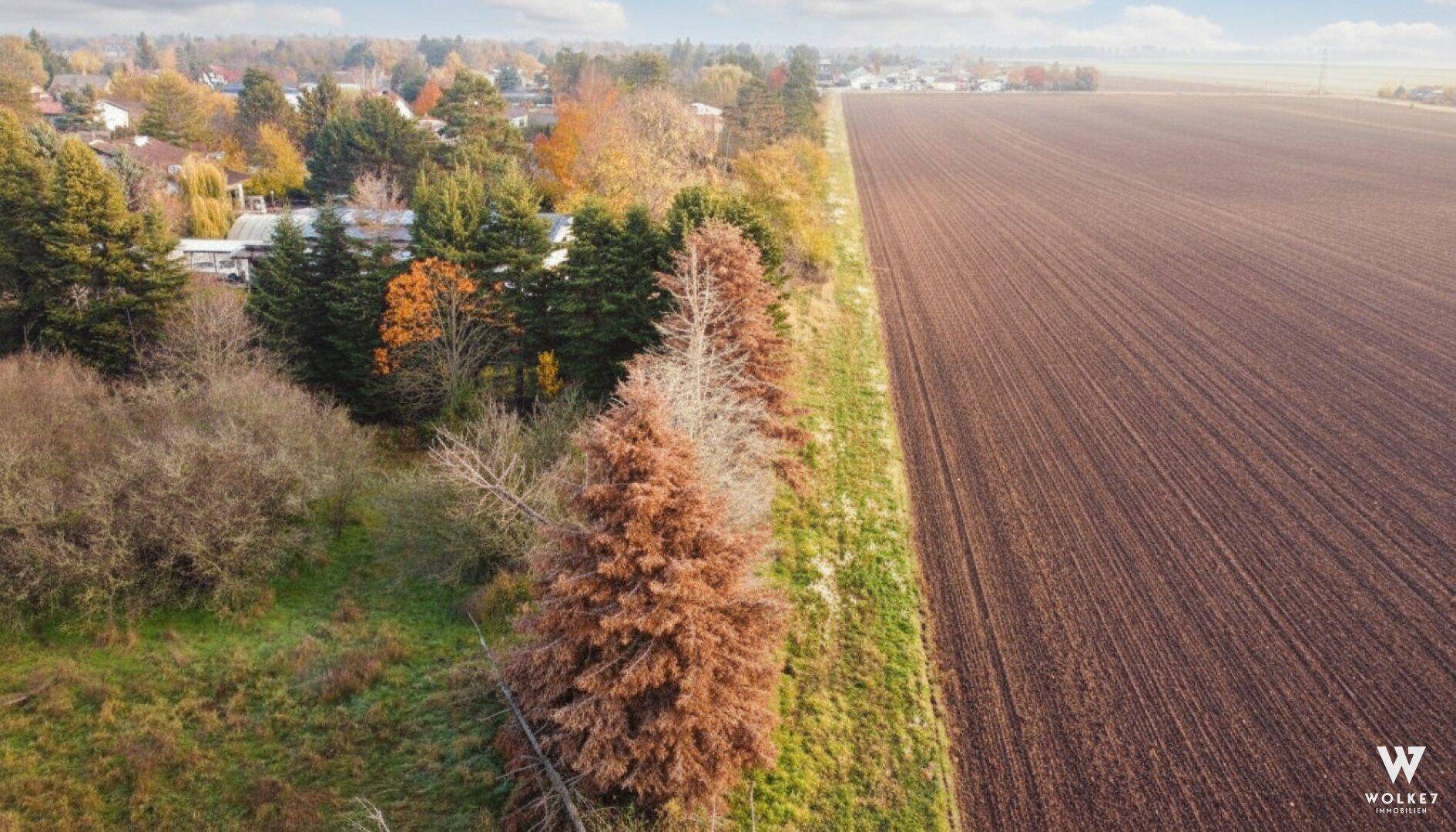 Luftaufnahme des Grundstücksrandes, angrenzend an ein weites, frisch gepflügtes Feld unter blauem Himmel.