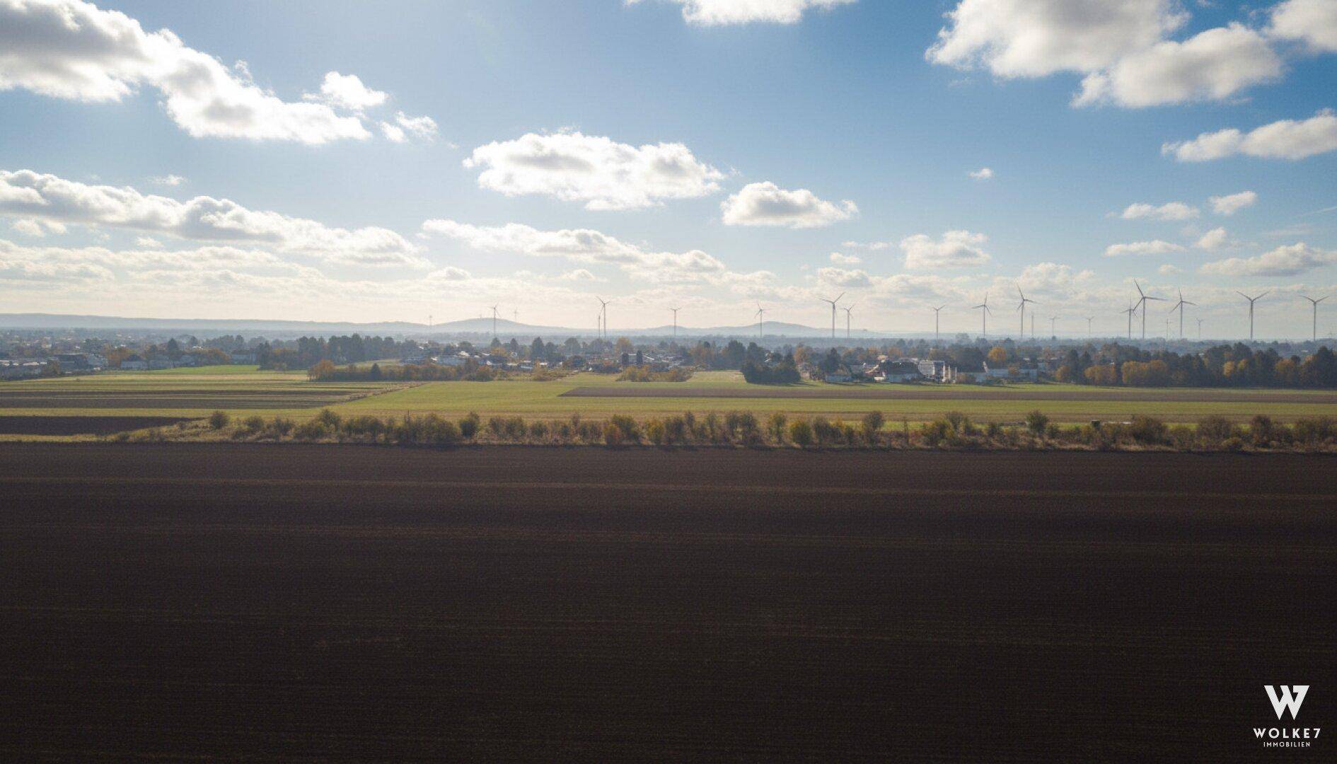Weitläufige Landschaft mit Ackerland, einer Baumreihe, einem Dorf und Windrädern am Horizont unter sonnigem Himmel.