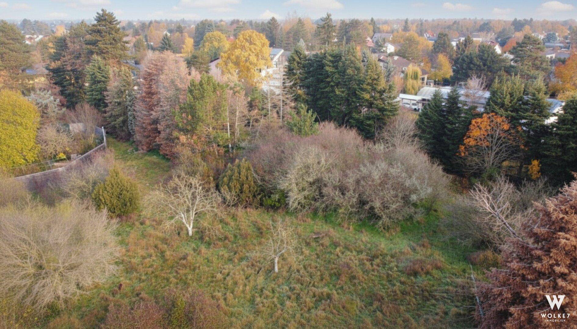 Weitläufiges, naturbelassenes Grundstück mit dichter Vegetation und vereinzelten Bäumen in ländlicher Umgebung.