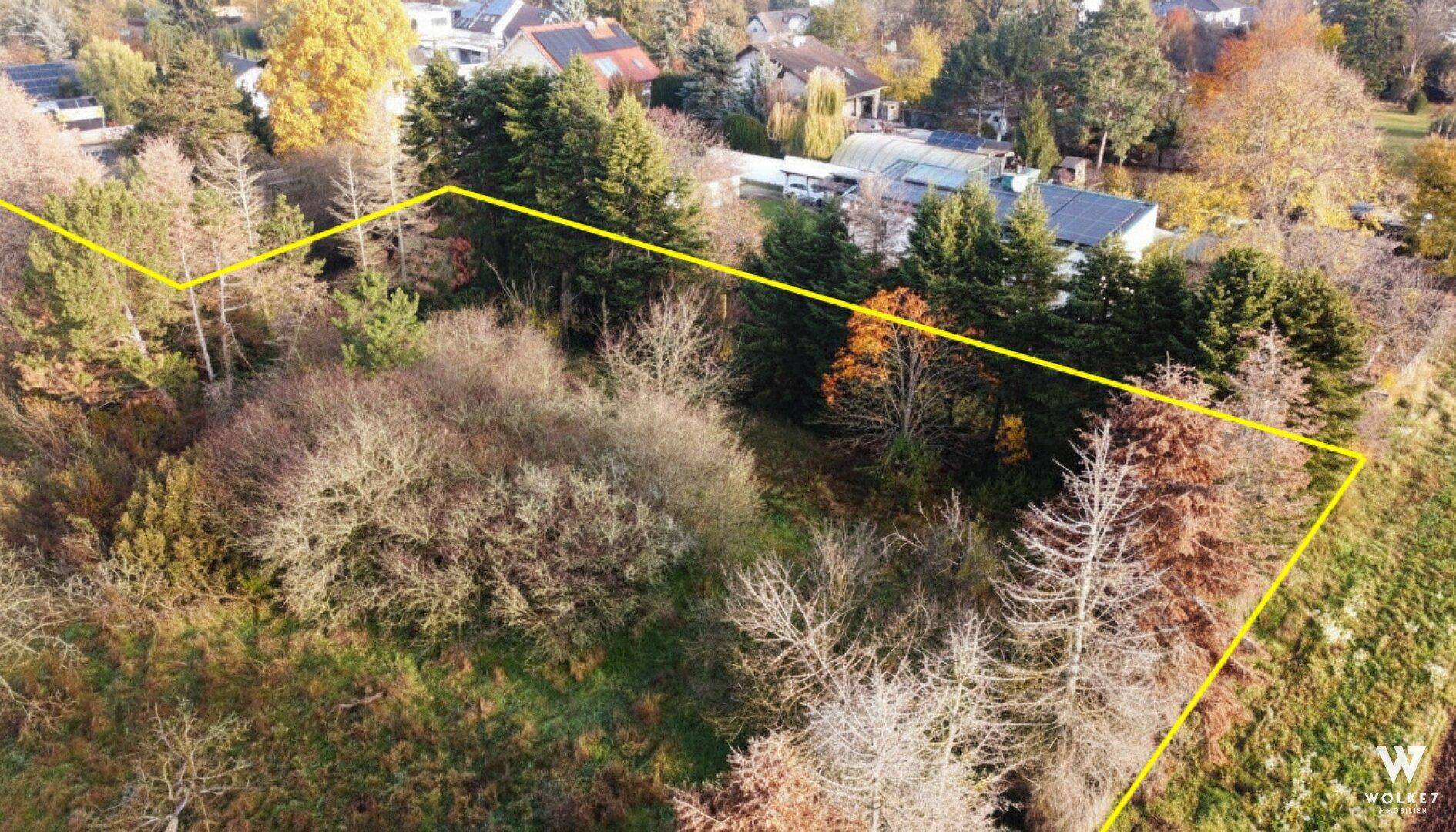 Weitläufiges, bewachsenes Grundstück von oben mit klar markierten Grenzen und umliegender Bebauung.