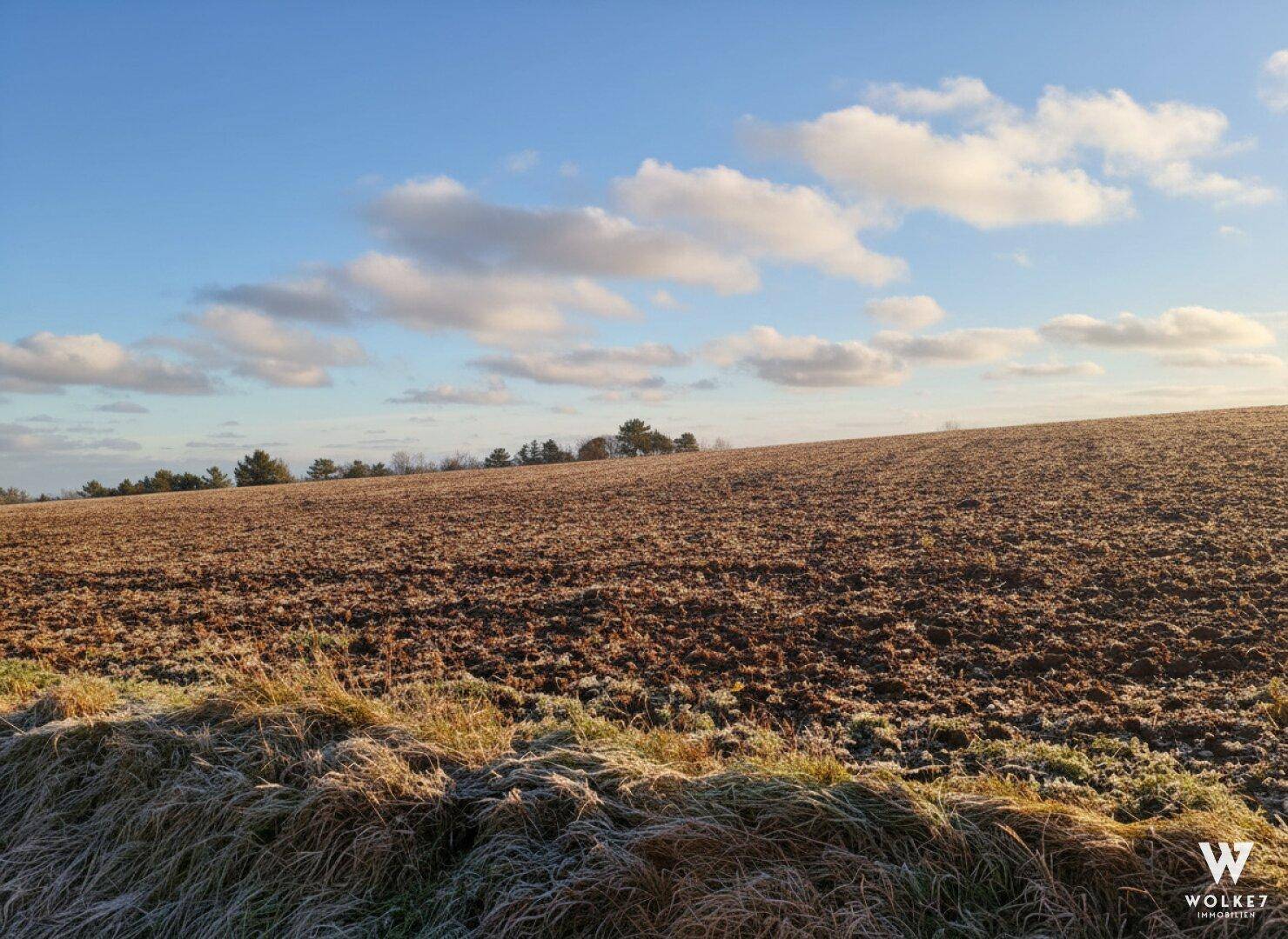 Weites, gepflügtes Feld mit gefrorenem Gras im Vordergrund unter einem teilweise bewölkten Himmel.