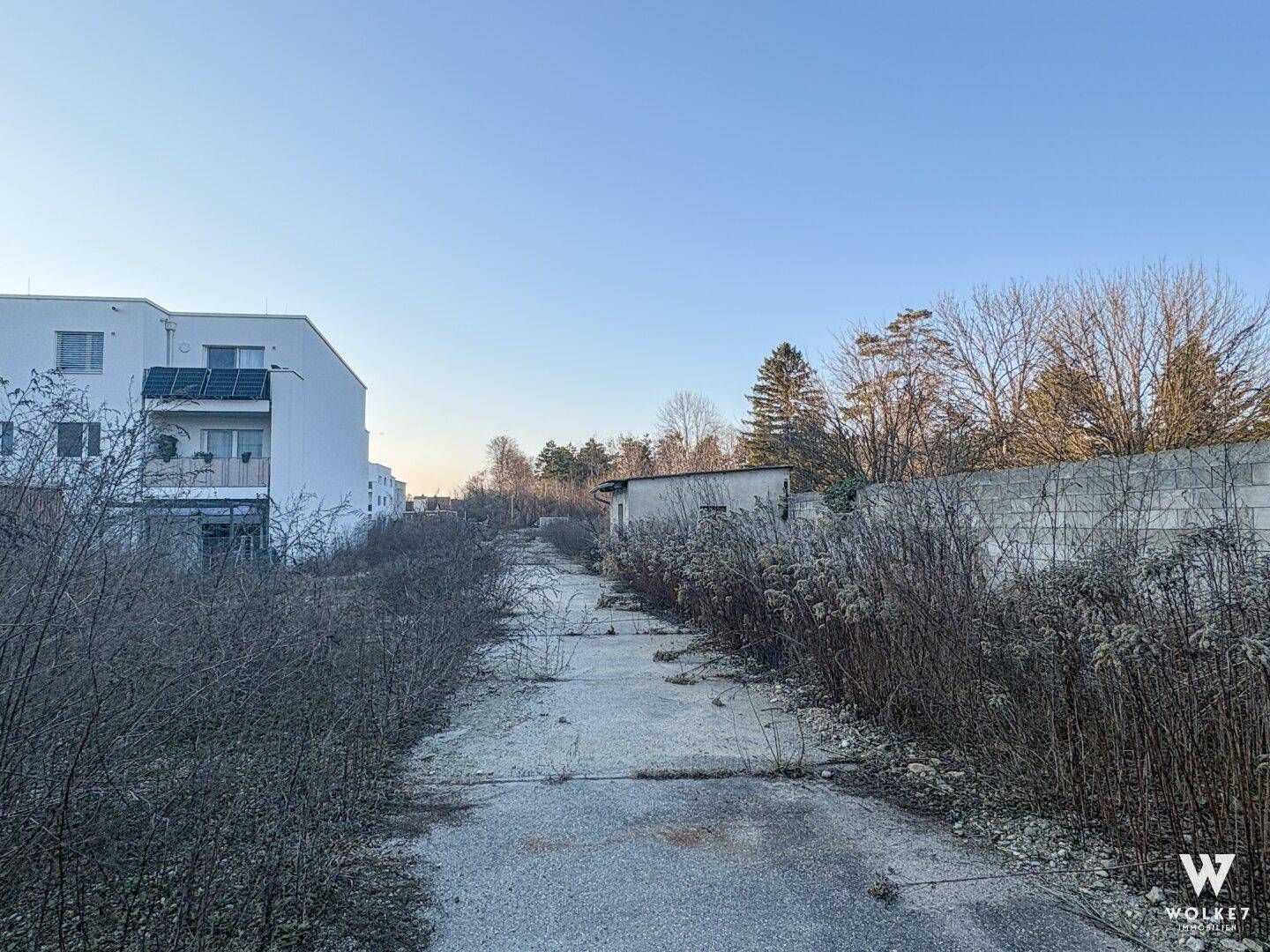 Langer, unbefestigter Weg zwischen einem modernen Gebäude und wilder Vegetation.