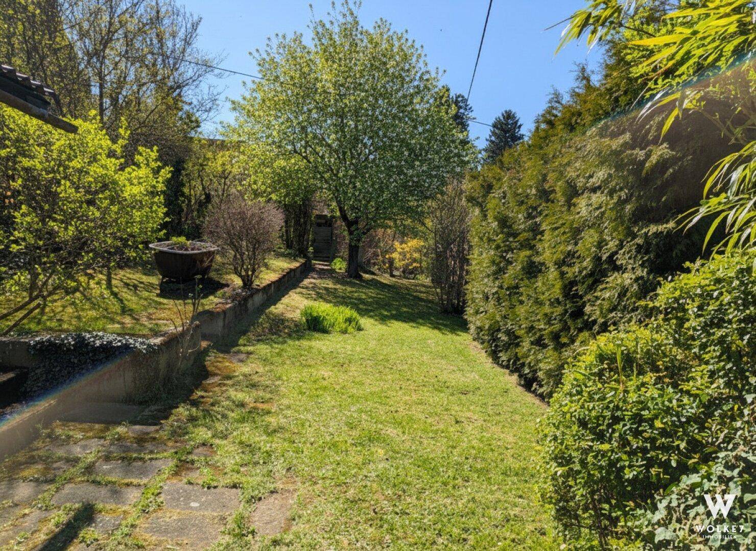 Sonnige Rasenfläche in einem gepflegten Garten mit hohen Hecken und Bäumen.