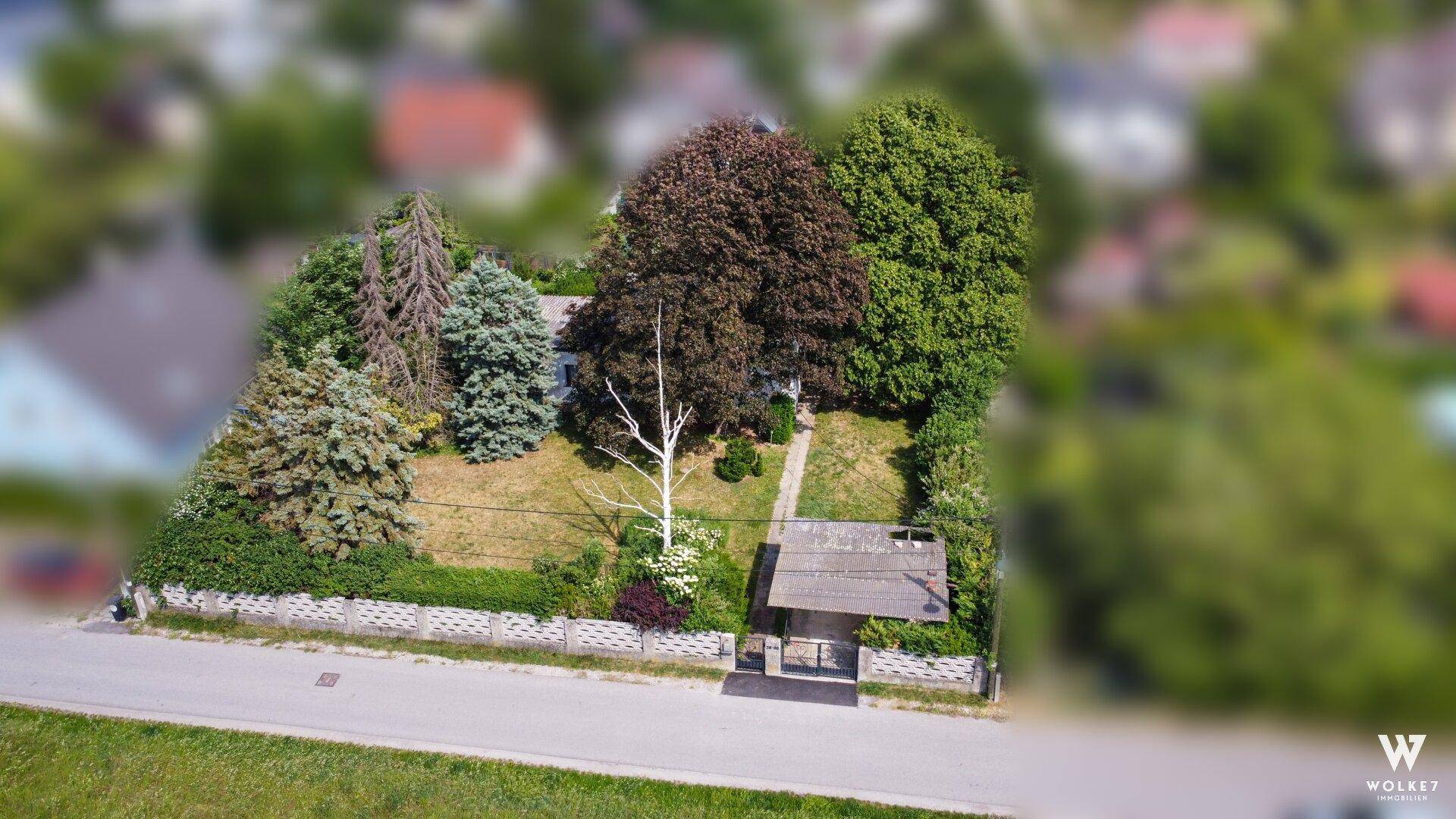 Luftaufnahme eines Wohnhauses mit weitläufigem Garten, umgeben von Bäumen und einer Mauer.