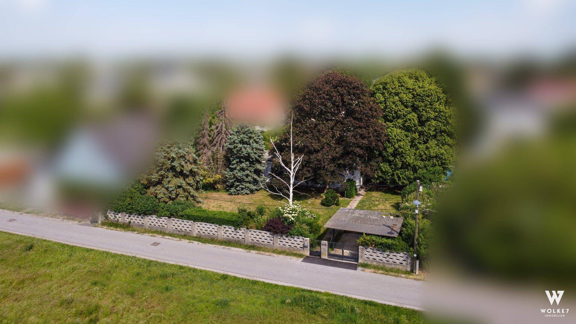 Luftaufnahme eines Hauses mit großem, bewachsenem Garten und Zufahrt von der Straße.