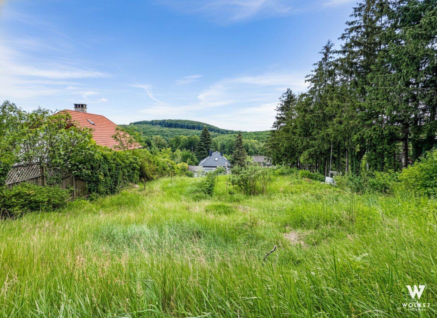 Großzügiges Baugrundstück in Weidlingbach: BK I + II | offene Bauweise | Hanglage | Weitblick | Genehmigter Bauantrag - Mehr