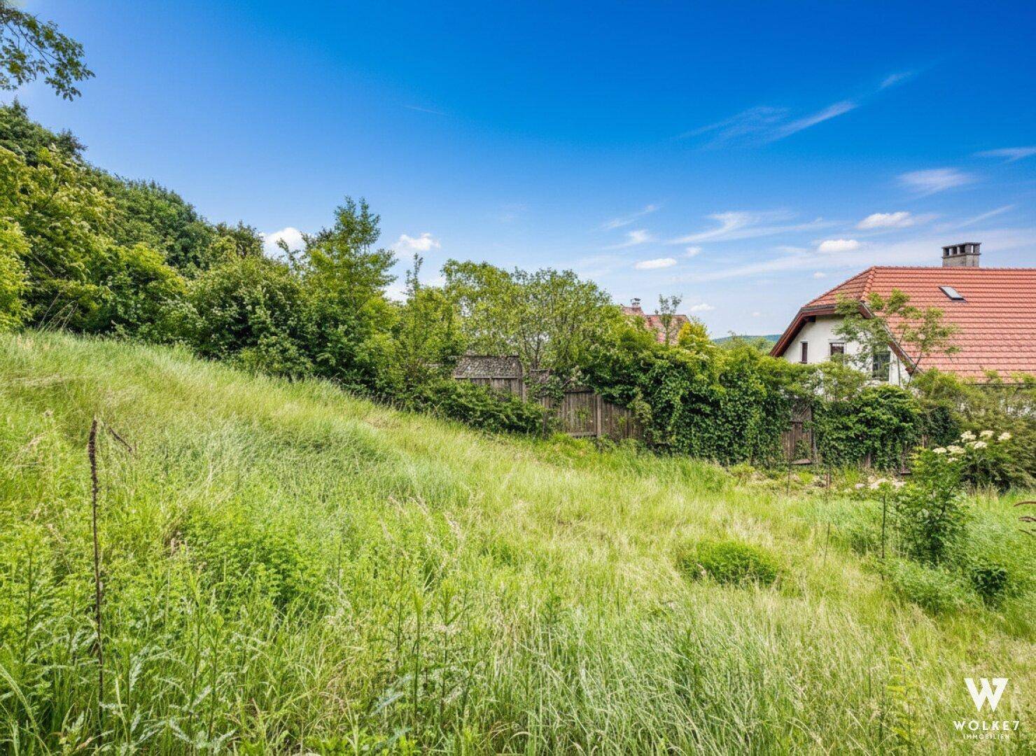 Hanglage mit hohem Gras, umgeben von dichtem Grün und einem traditionellen Haus.
