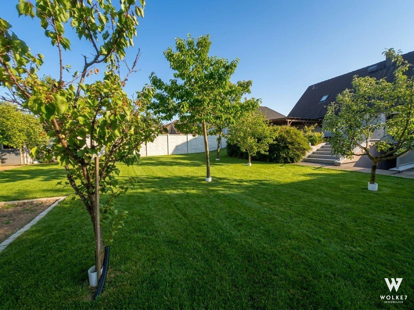 Weitläufiger Garten mit gepflegtem Rasen und jungen Obstbäumen unter blauem Himmel.