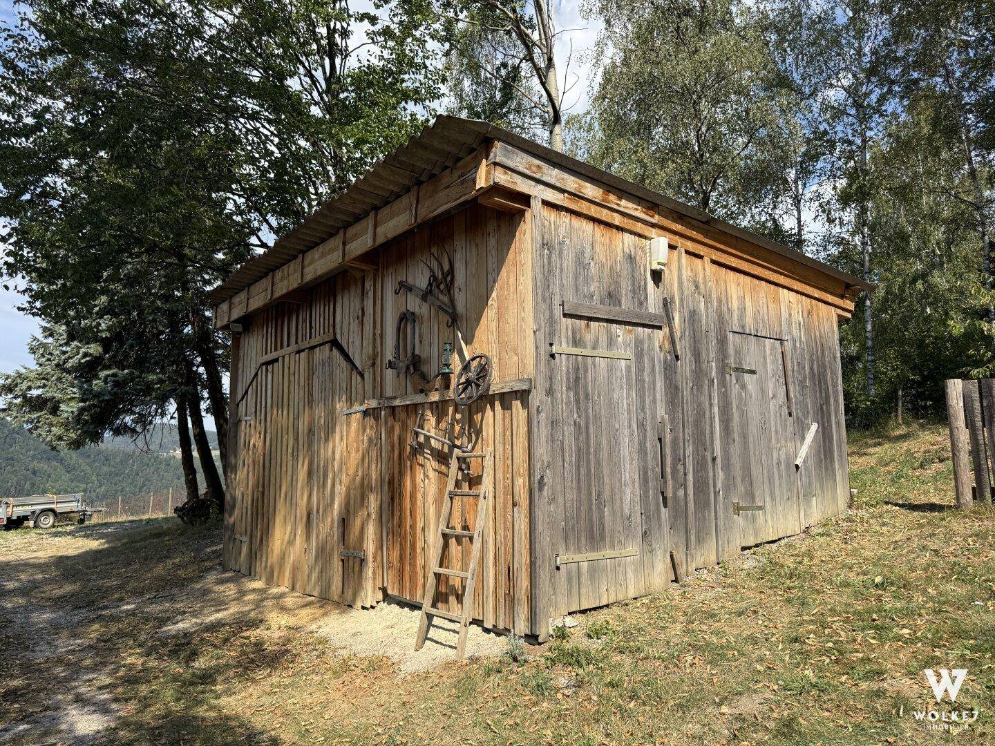 Rustikaler Holzschuppen mit alten Werkzeugen und Leiter im Freien.