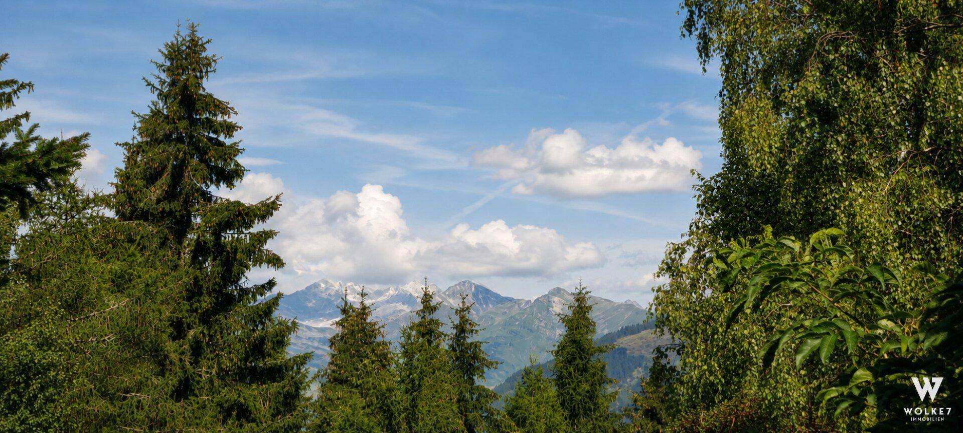 Blick auf schneebedeckte Berggipfel, umrahmt von dichten Nadelbäumen und einem klaren blauen Himmel mit Wolken.