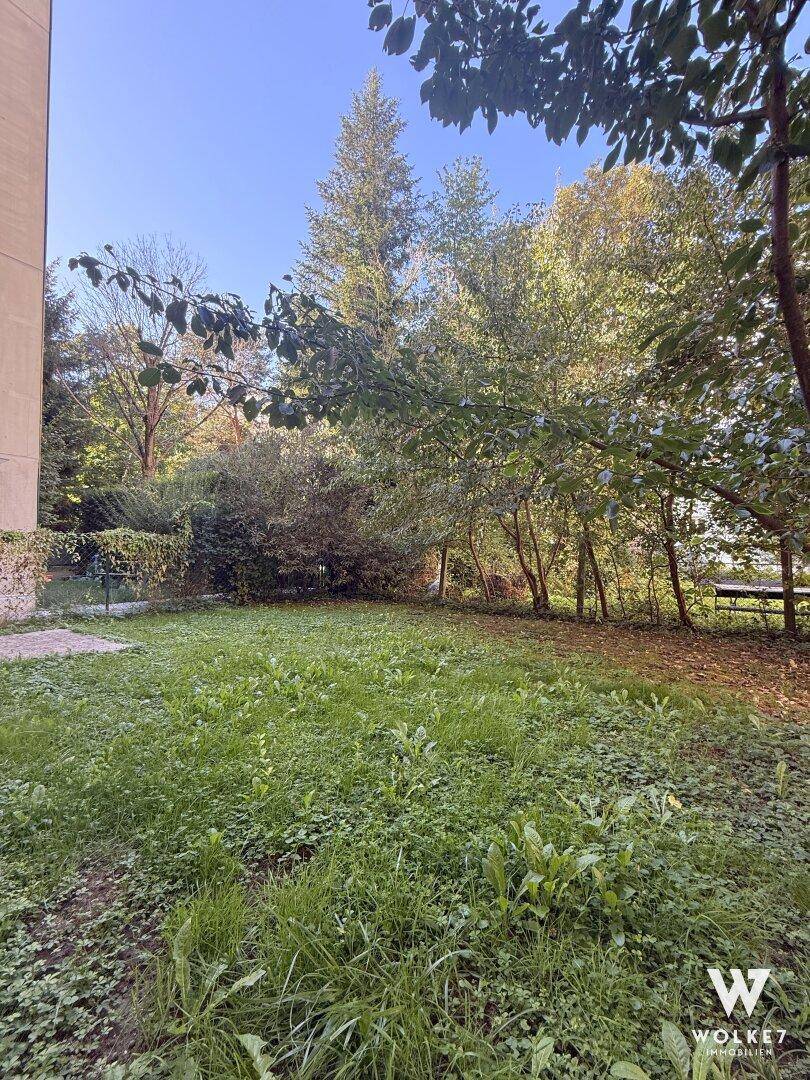 Grüne Gartenfläche mit Bäumen und Rasen, ideal zur Entspannung im Freien und mit natürlicher Umgebung.