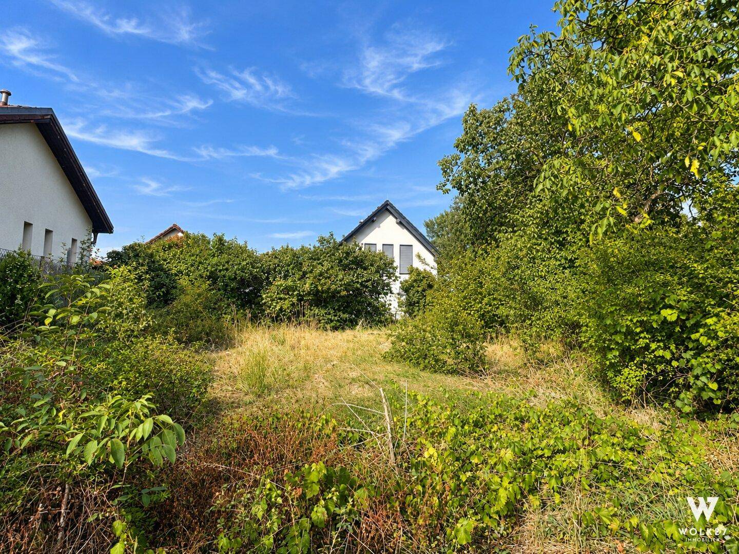 Überwuchertes Gartengrundstück mit einem modernen Einfamilienhaus im Hintergrund unter klarem Himmel.