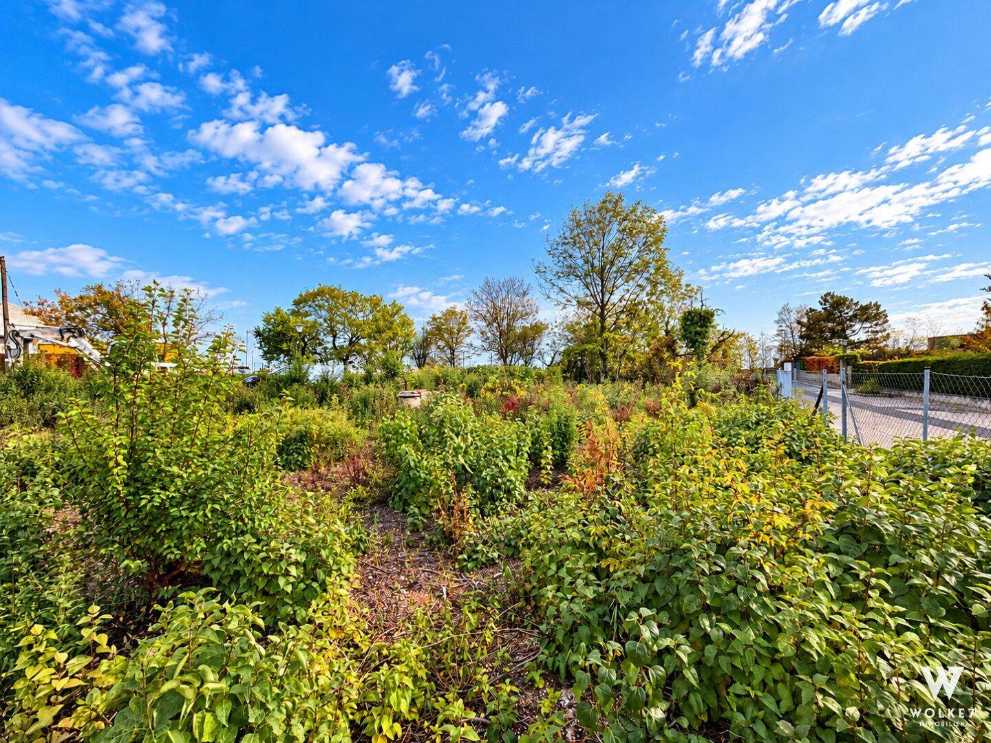 Weitläufiges, naturbelassenes Grundstück mit üppiger Vegetation und Bäumen am Horizont unter blauem Himmel.