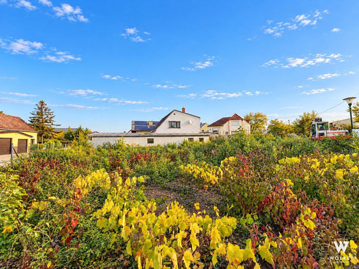 Naturbelassenes Grundstück mit dichter Vegetation in herbstlichen Farben und einem Wohnhaus im Hintergrund.