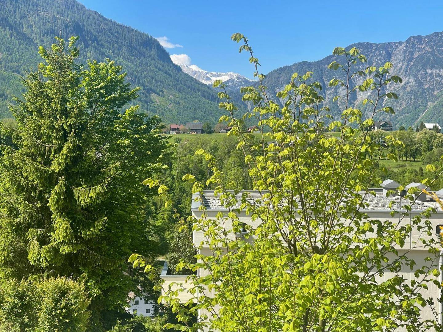 Ausblick