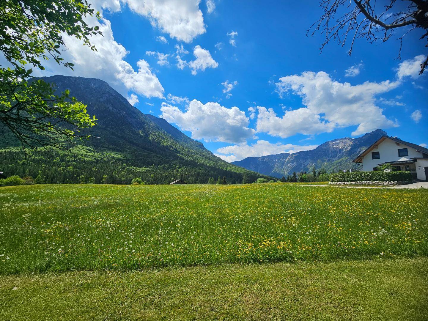Ausblick